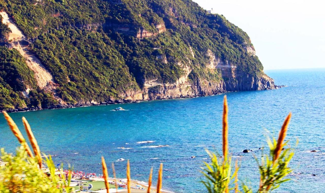 Appartamenti Baia Di Citara Forio di Ischia Dış mekan fotoğraf
